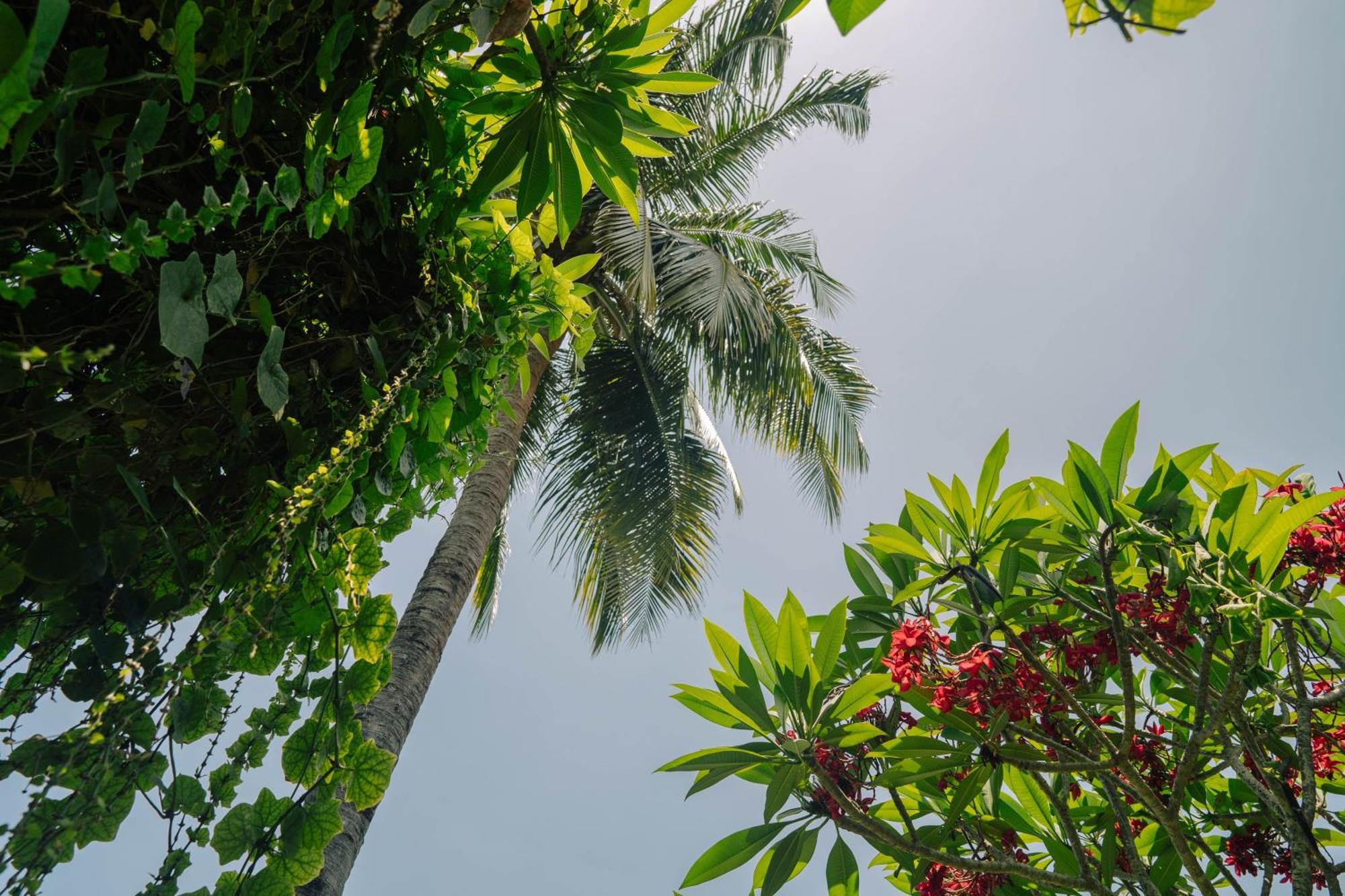 The Confidential Mandalika Hotel Kuta  Екстериор снимка